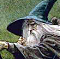 Avatar du membre