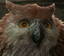 Avatar du membre