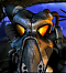 Avatar du membre