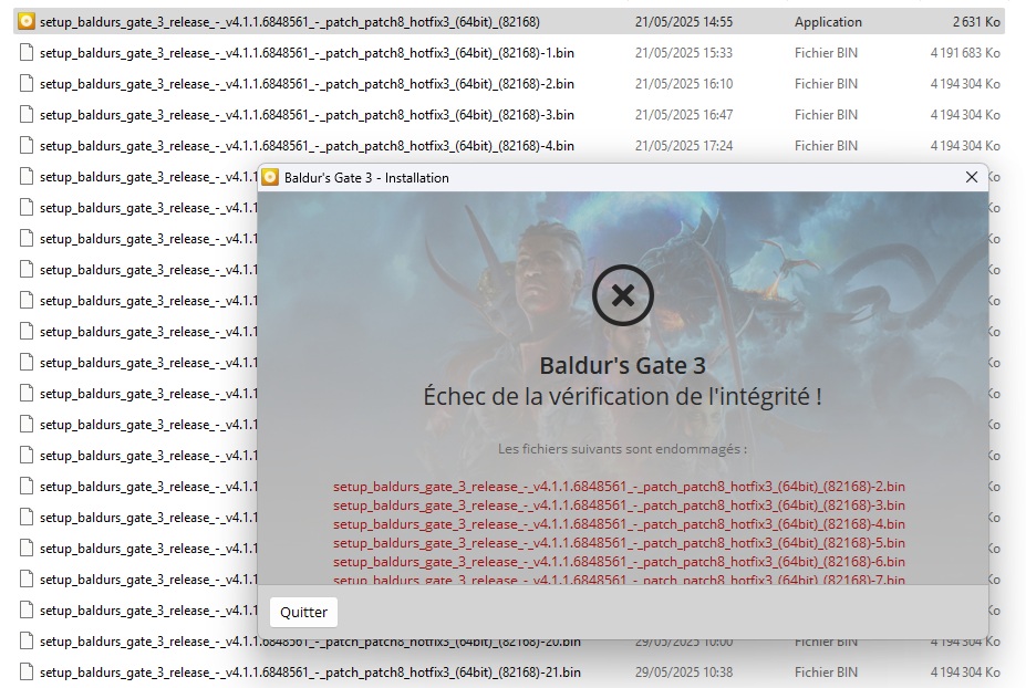 BG3_Installation.jpg