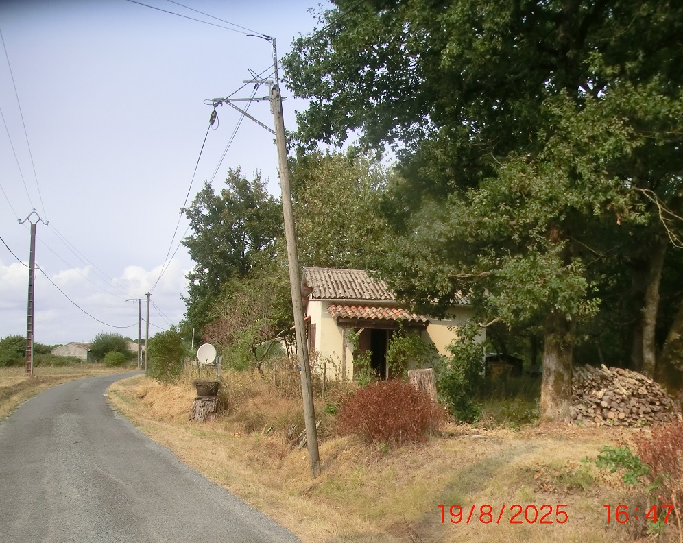 Léo_20082025.jpg