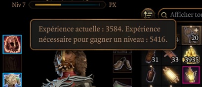 BG3_16.jpg