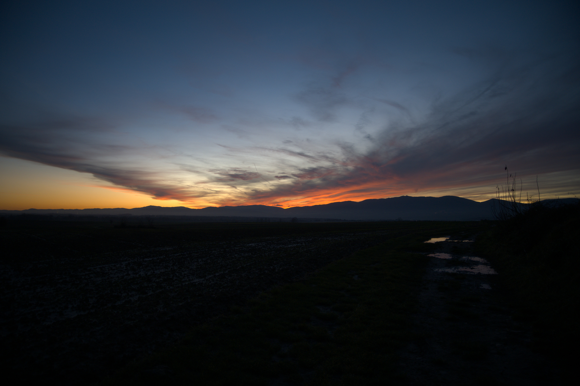 DSC_0676_01.jpg