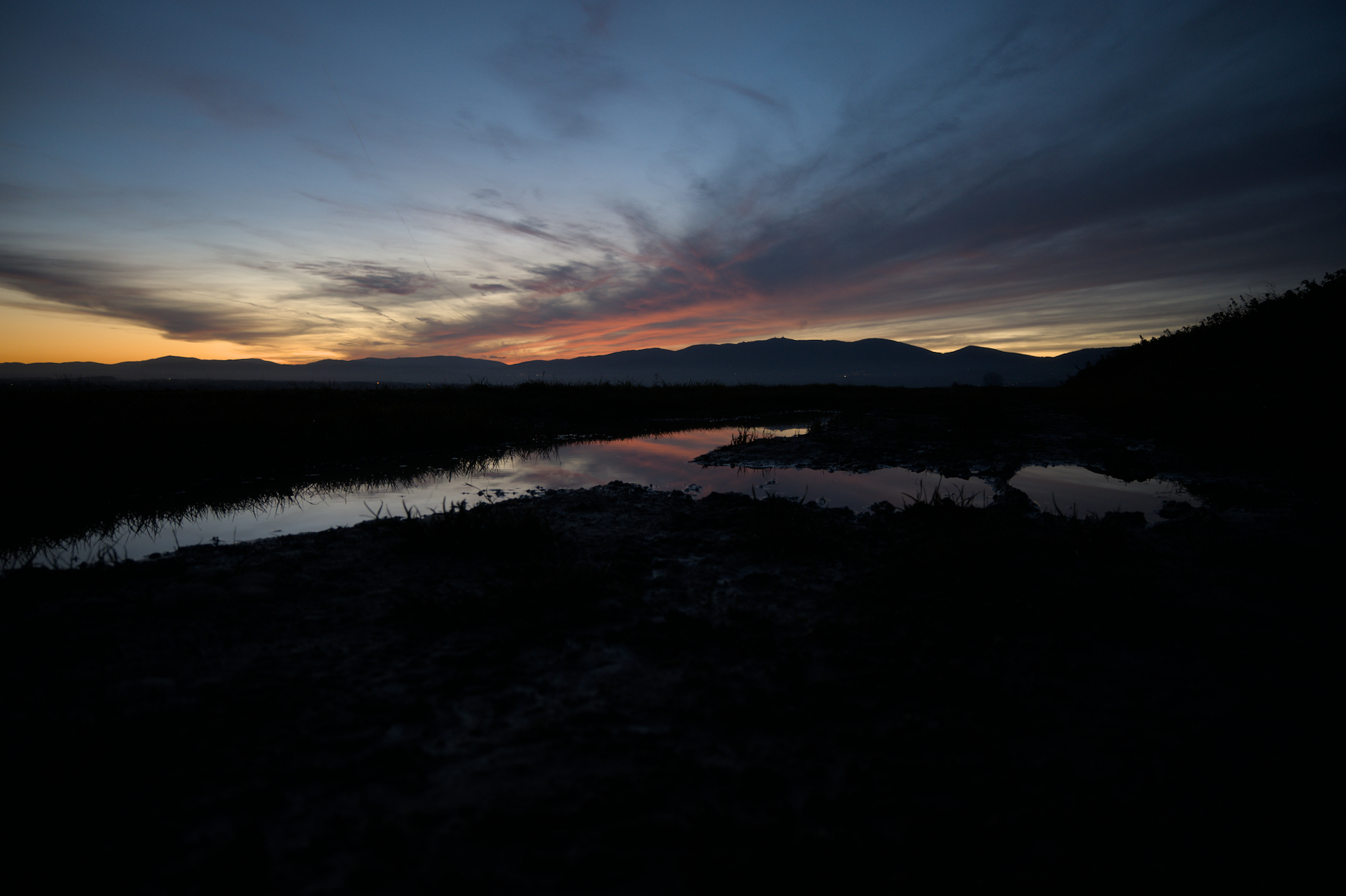 DSC_0681.jpg