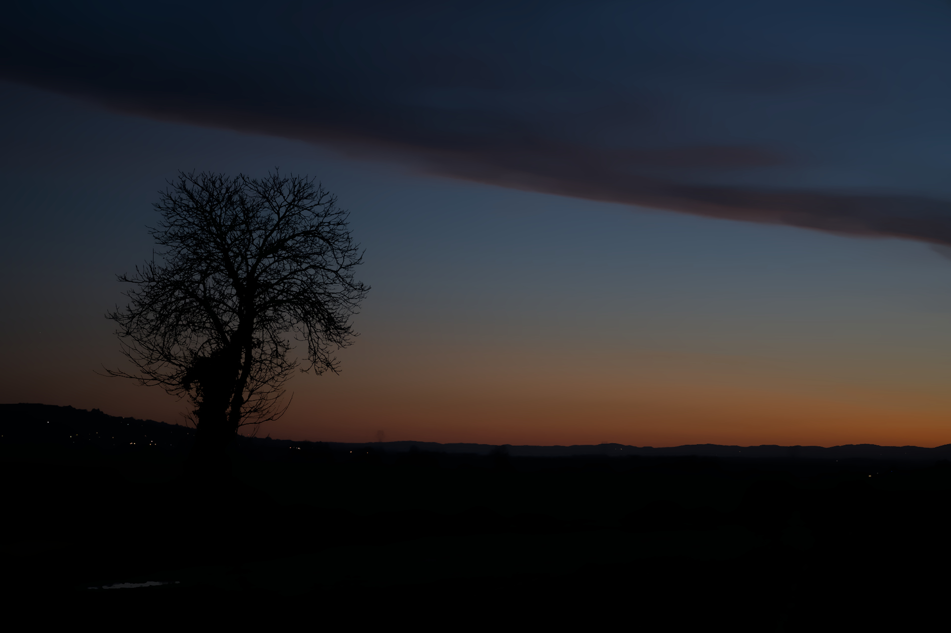 DSC_0693.jpg