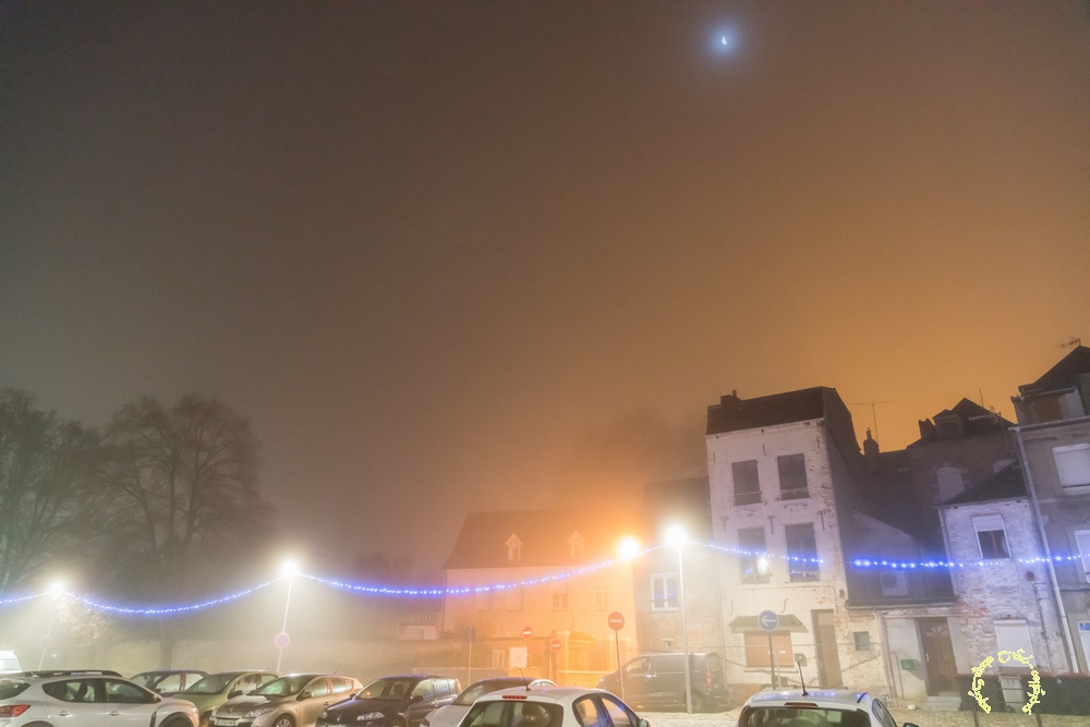 11122025-111225DSC00020.jpg