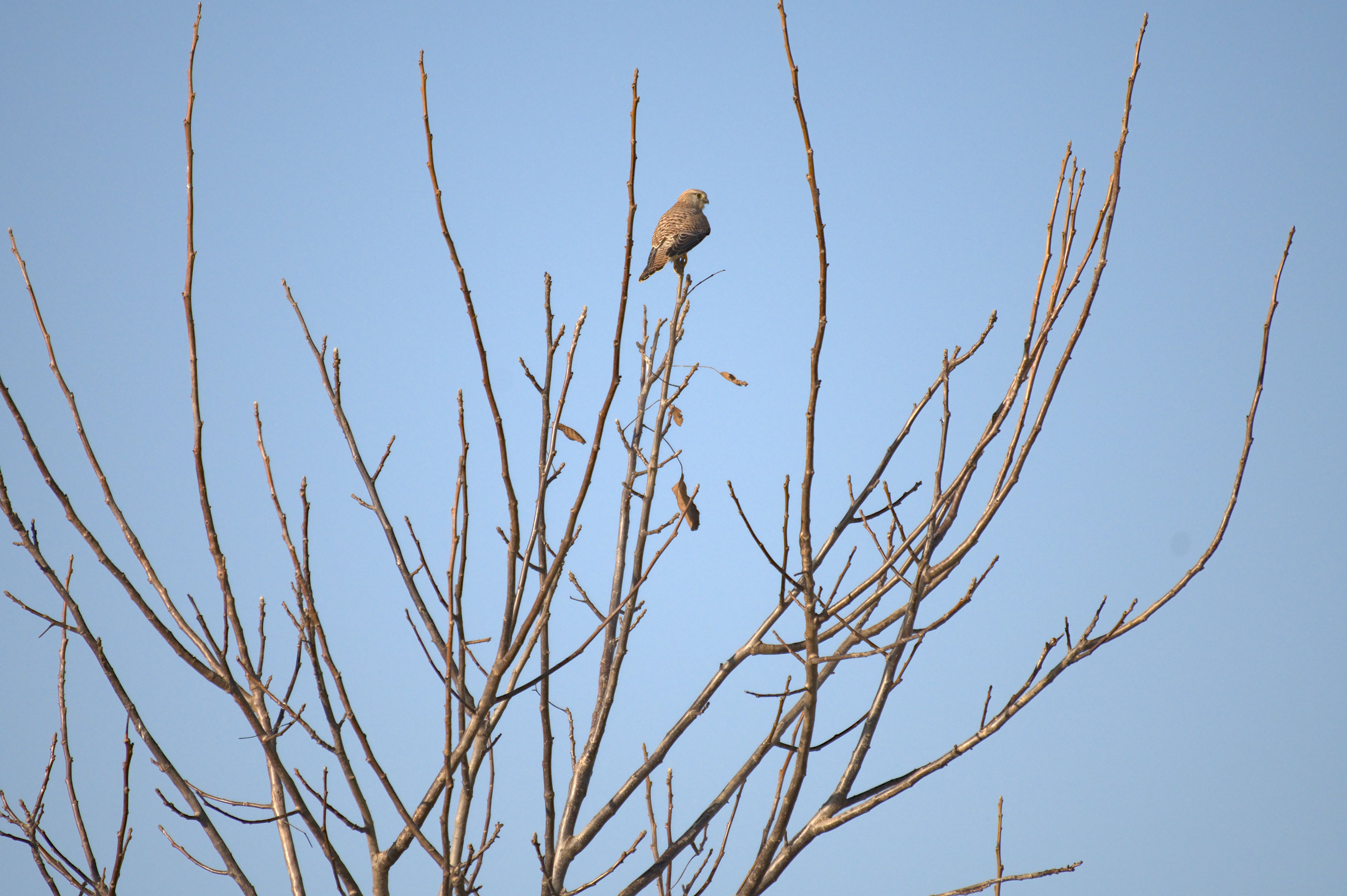 DSC_0977_09.jpg