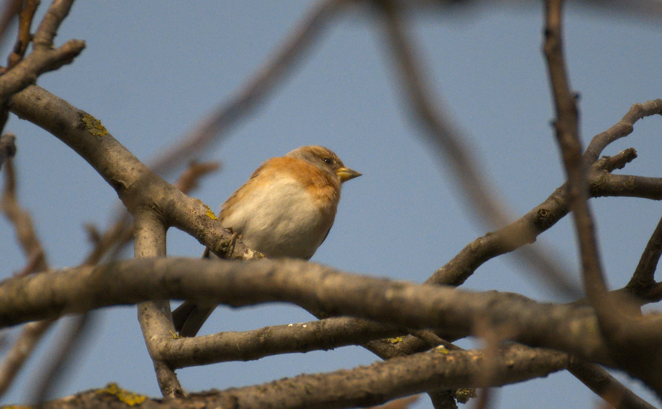 DSC_1864.jpg