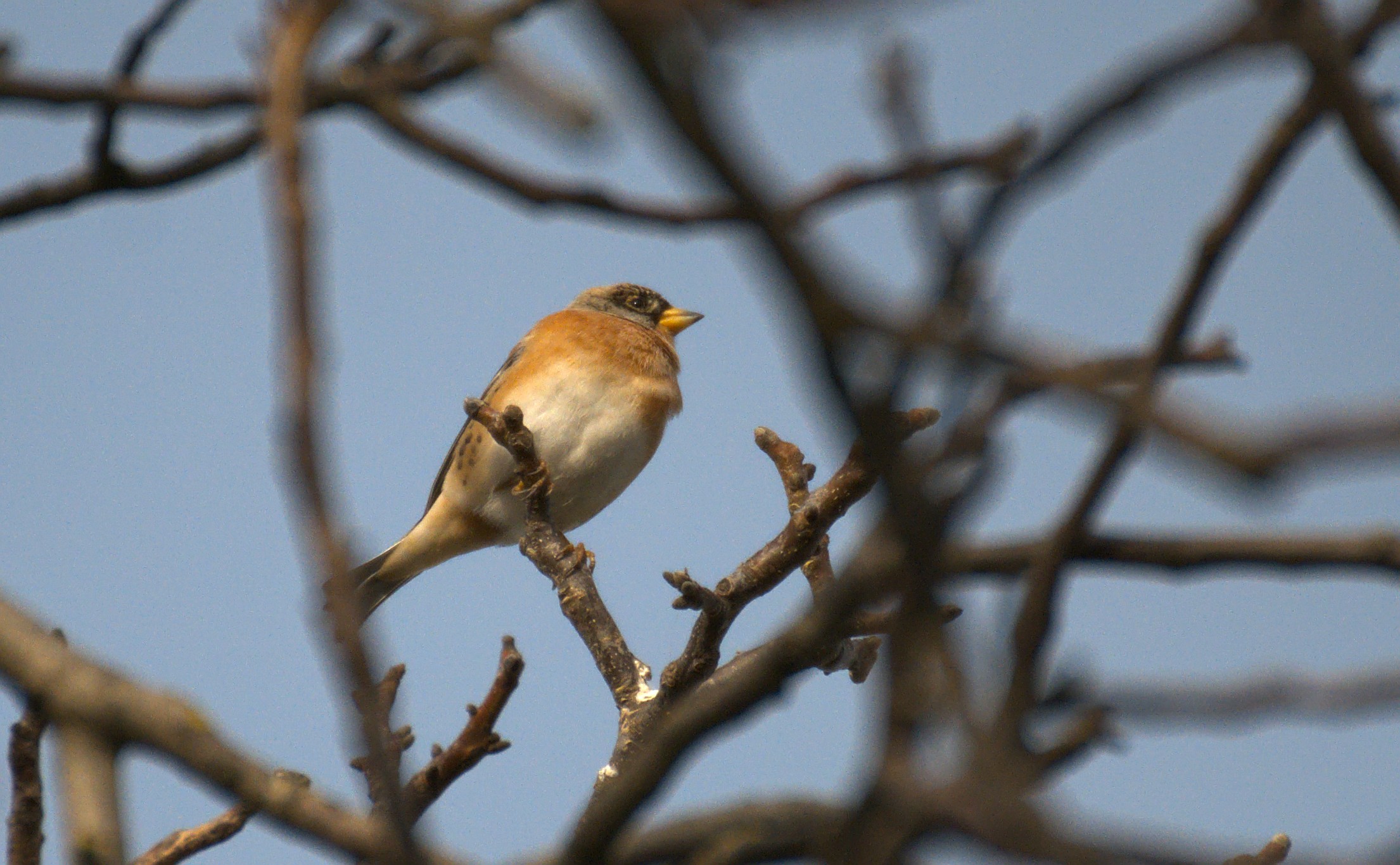 DSC_1672.jpg