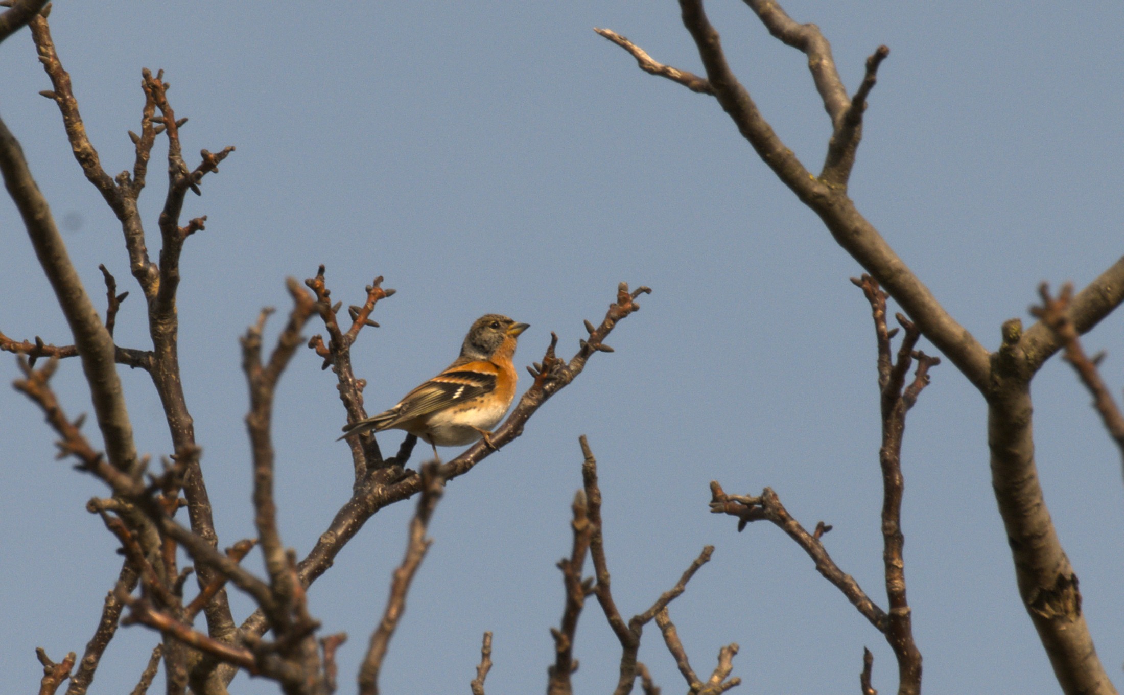 DSC_1627.jpg