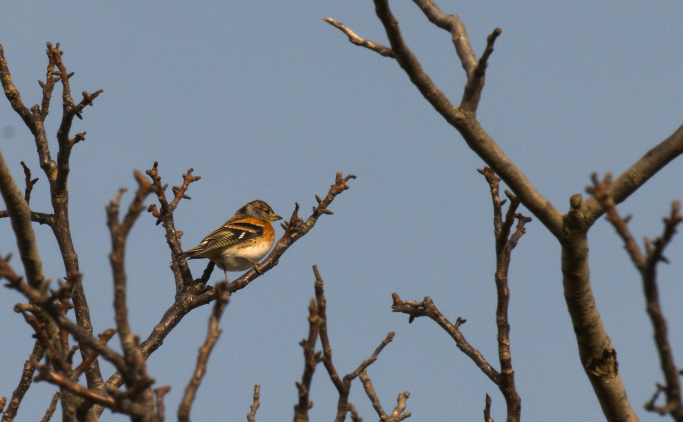 DSC_1626.jpg