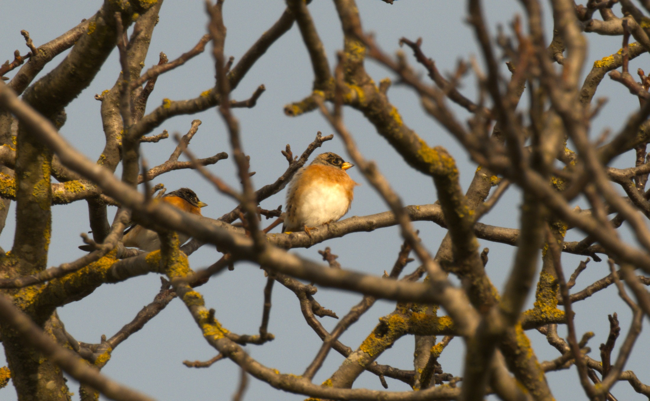 DSC_1608.jpg