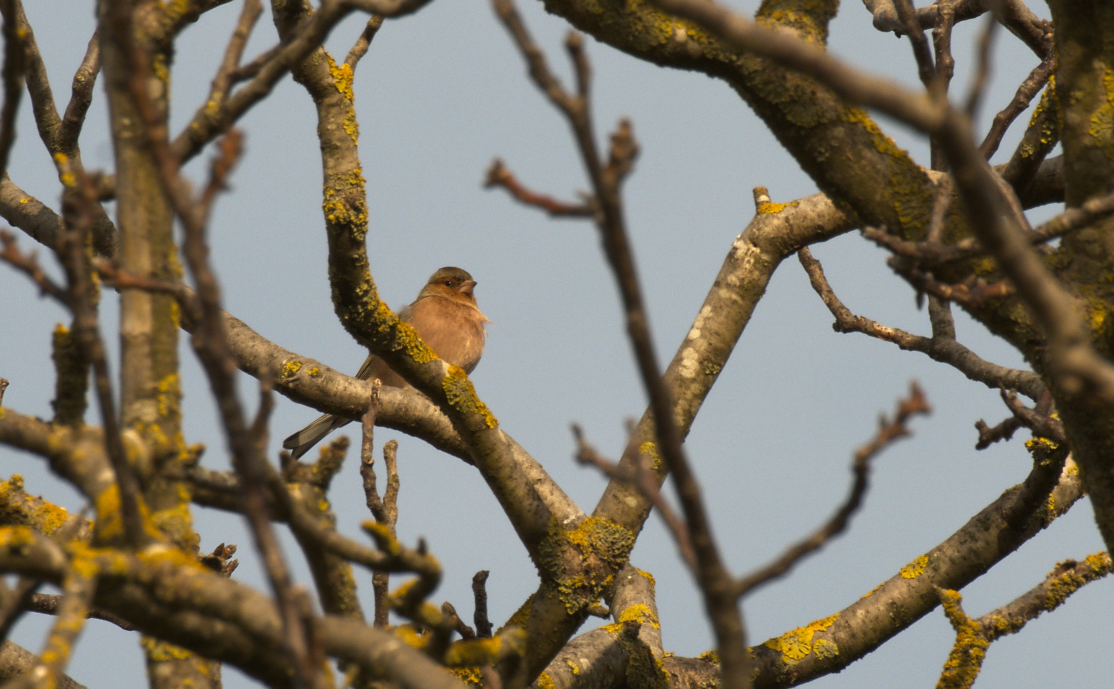 DSC_1587.jpg