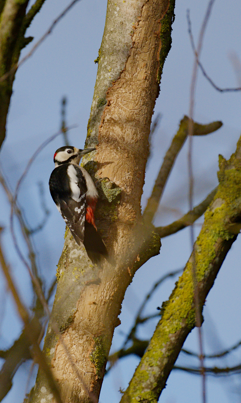 DSC_2397_04.jpg