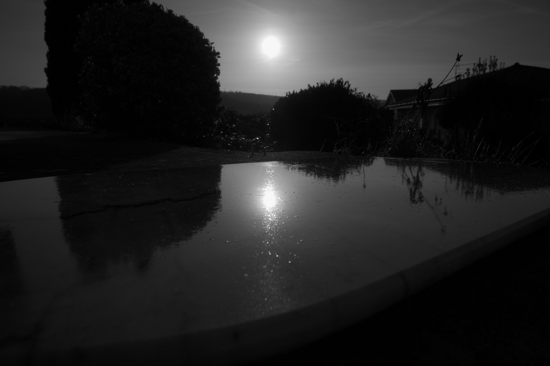 DSC_3349.jpg