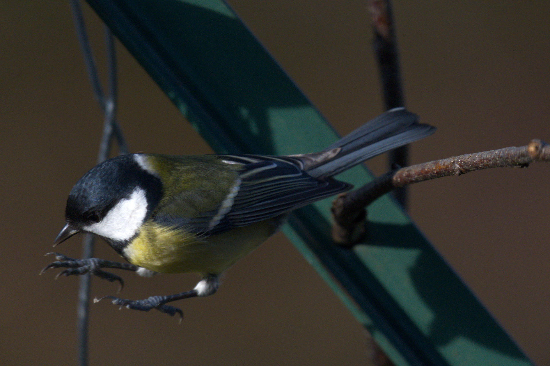 DSC_3355.jpg