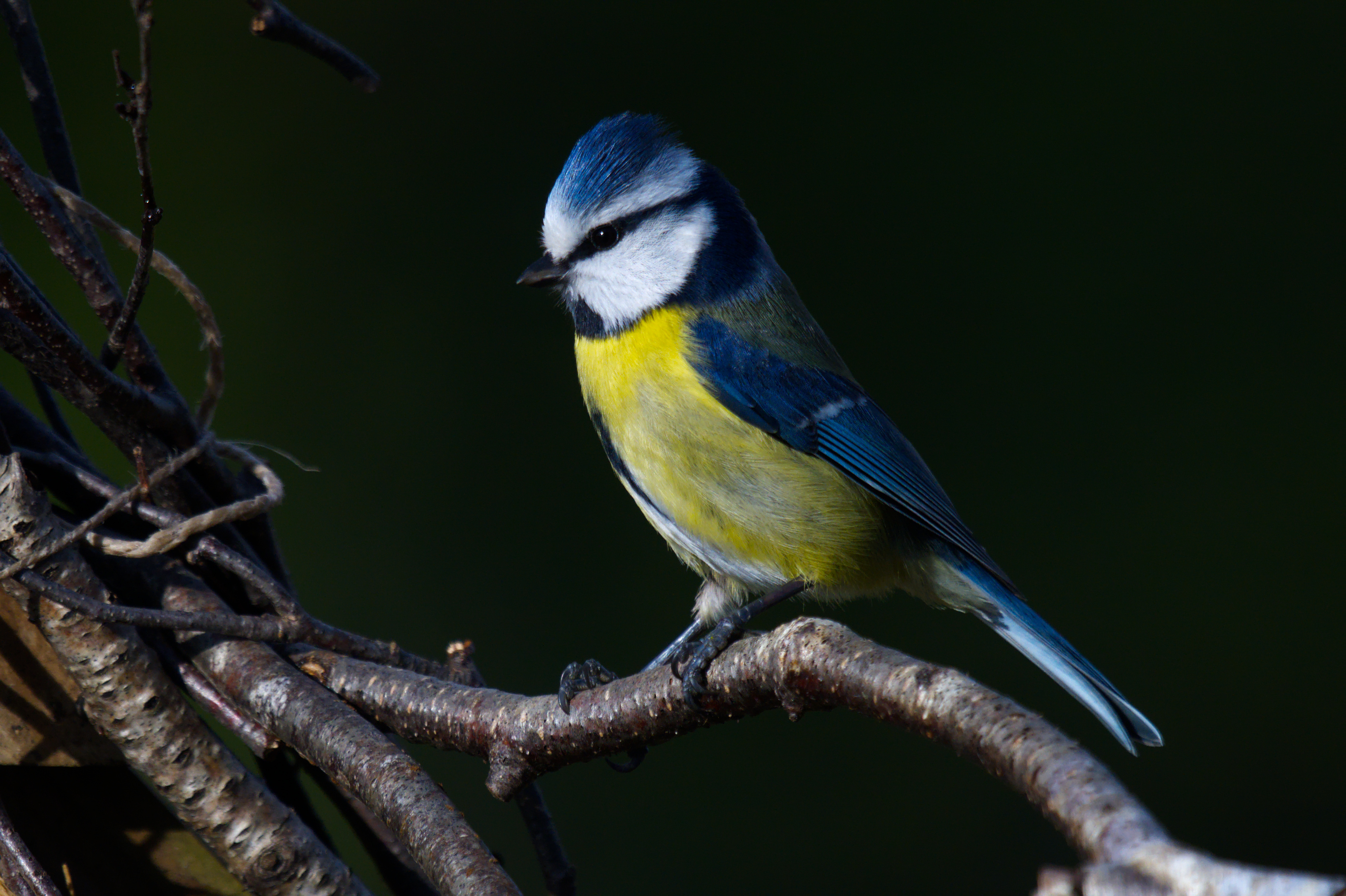 DSC_3448.jpg