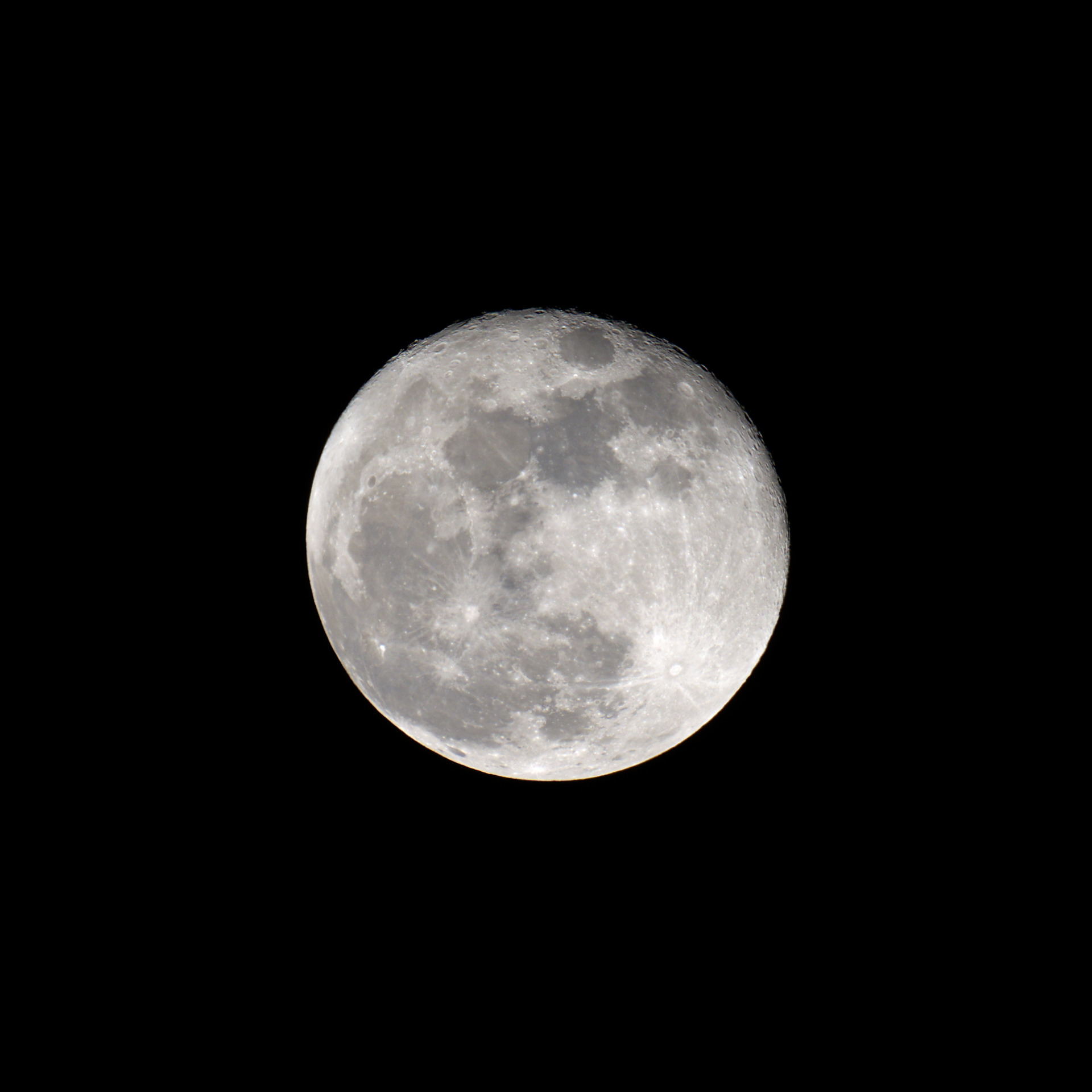 DSC_3954.jpg