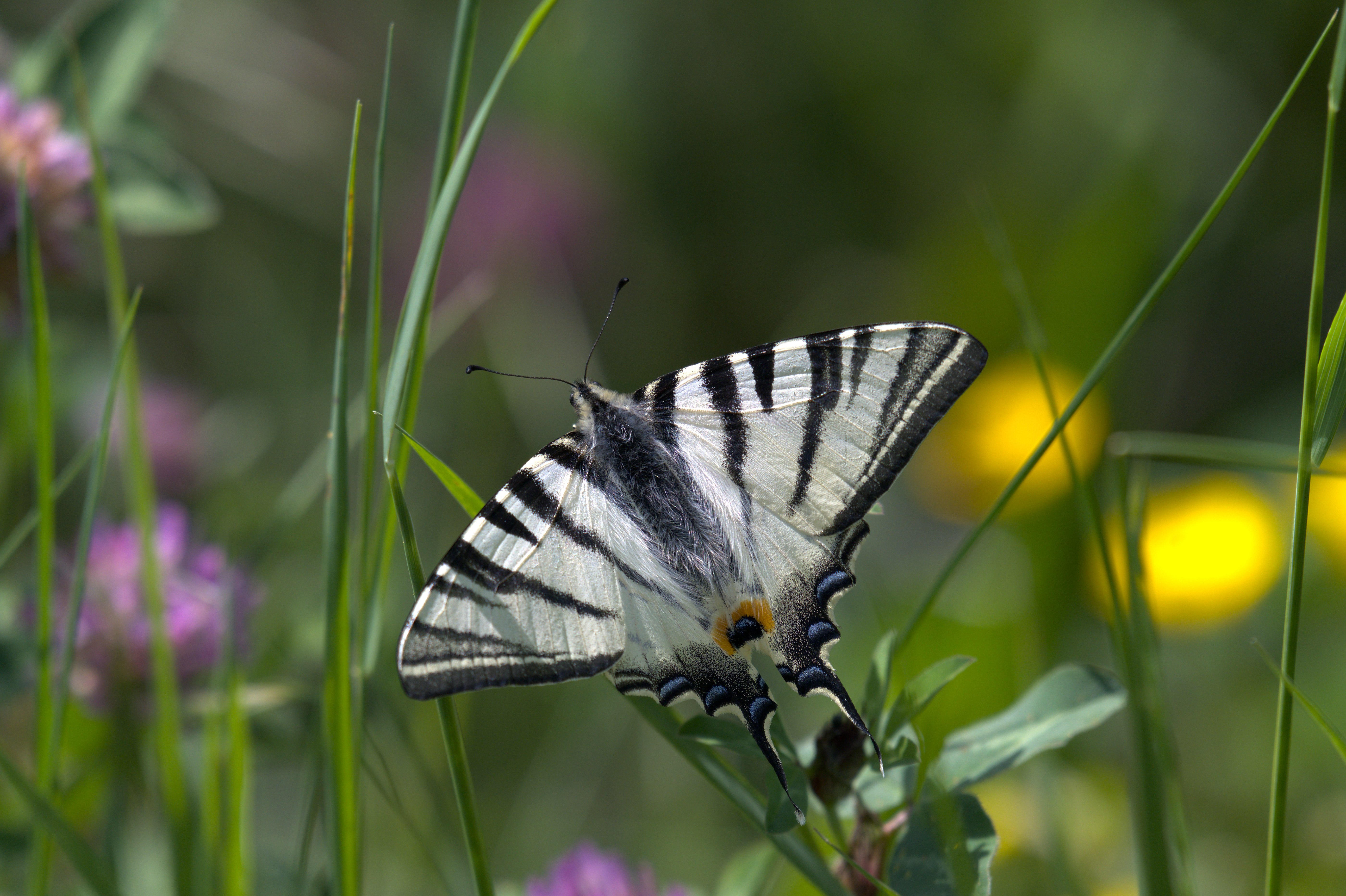 DSC_5141_05.jpg
