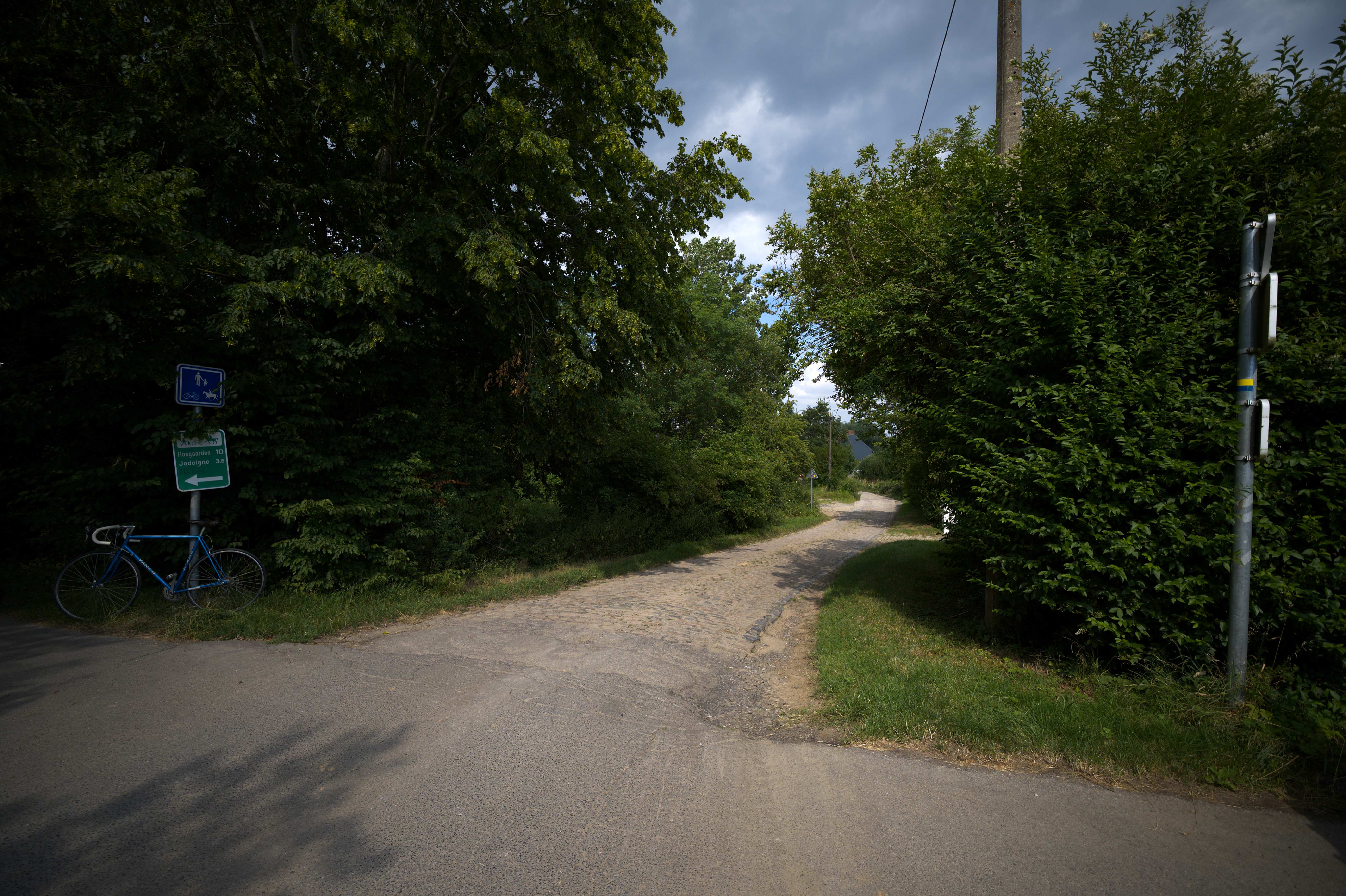 DSC_5517_03.jpg