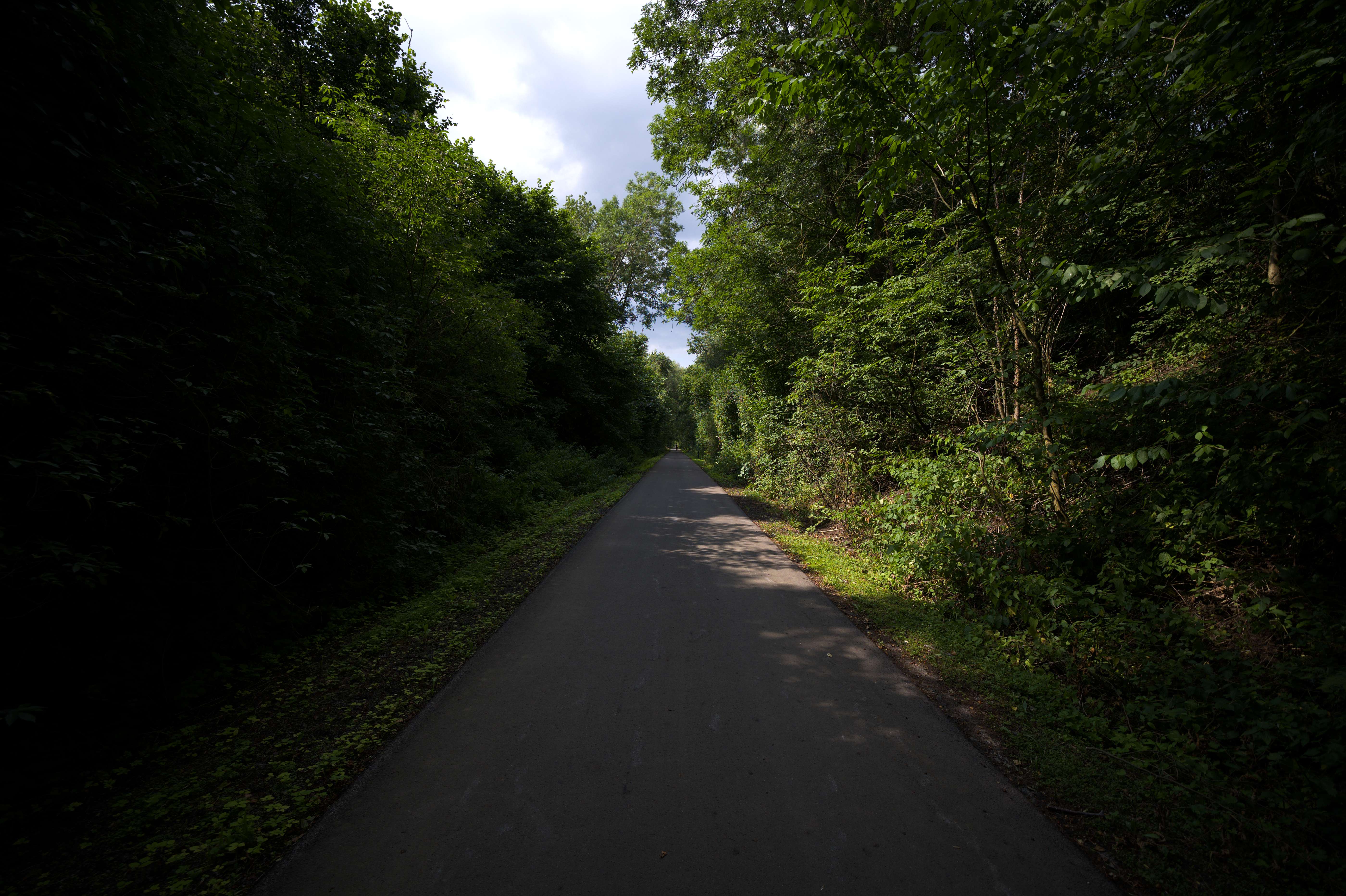 DSC_5510_04.jpg