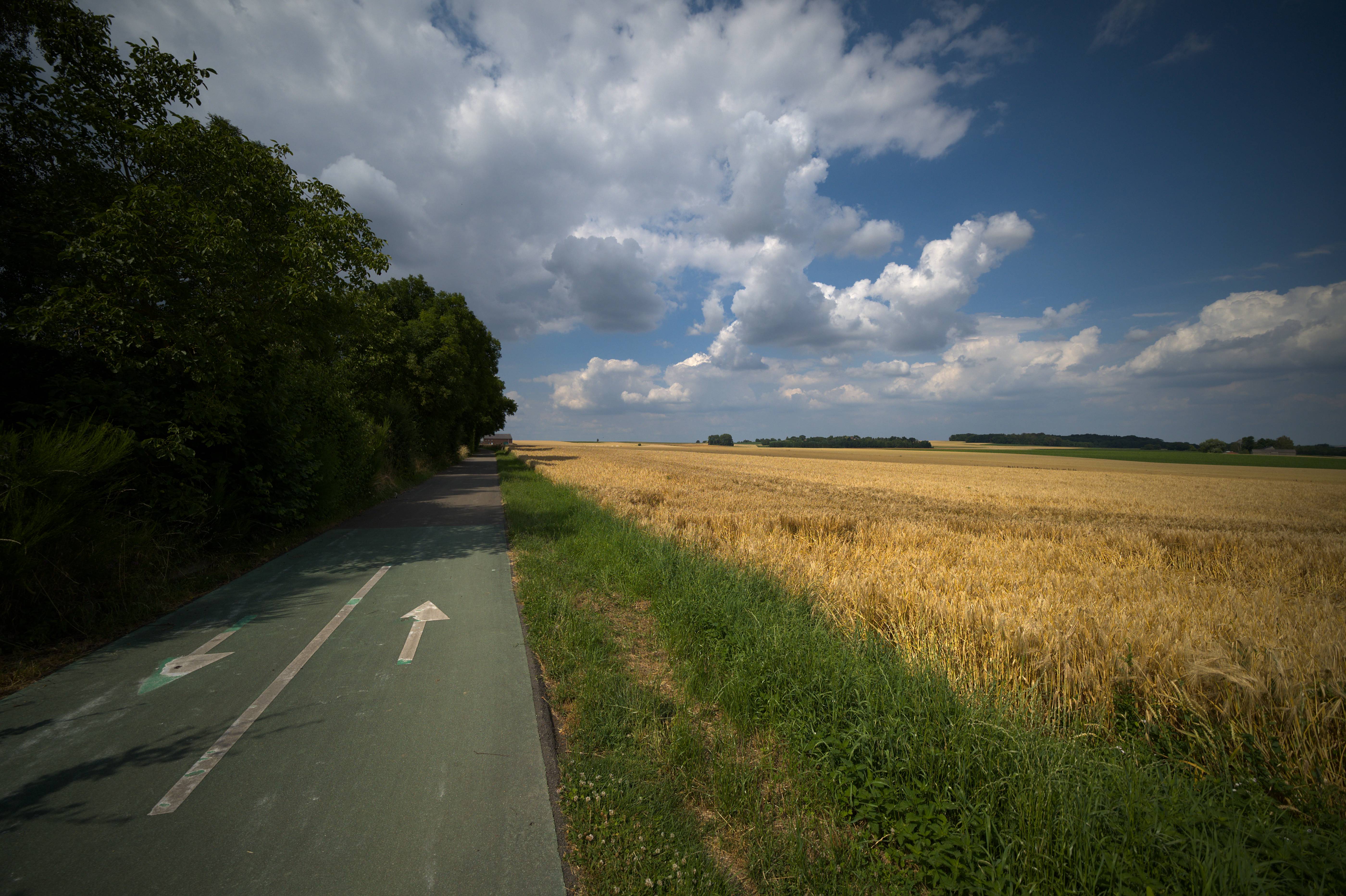 DSC_5505_03.jpg