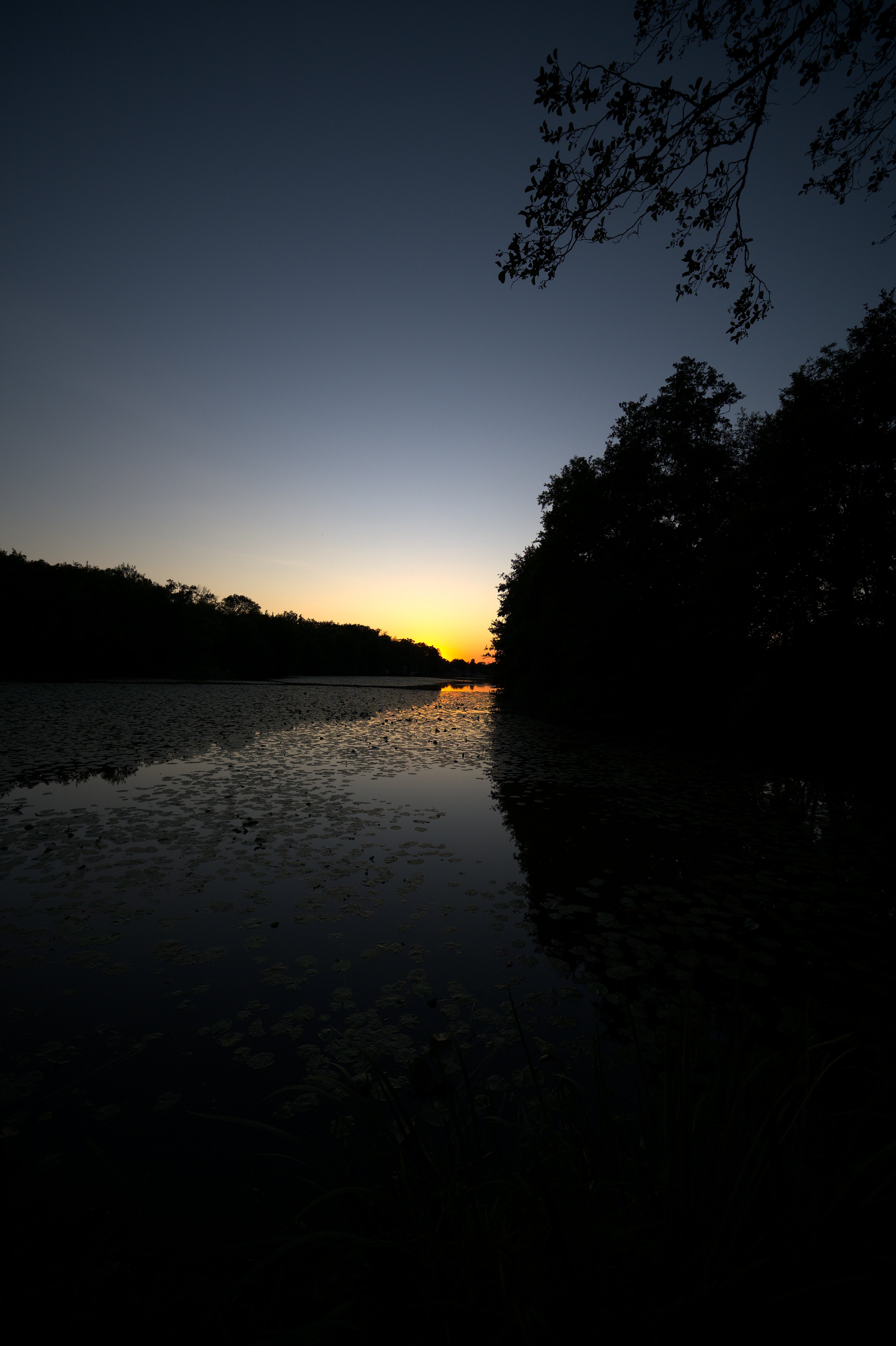 DSC_5759_01.jpg