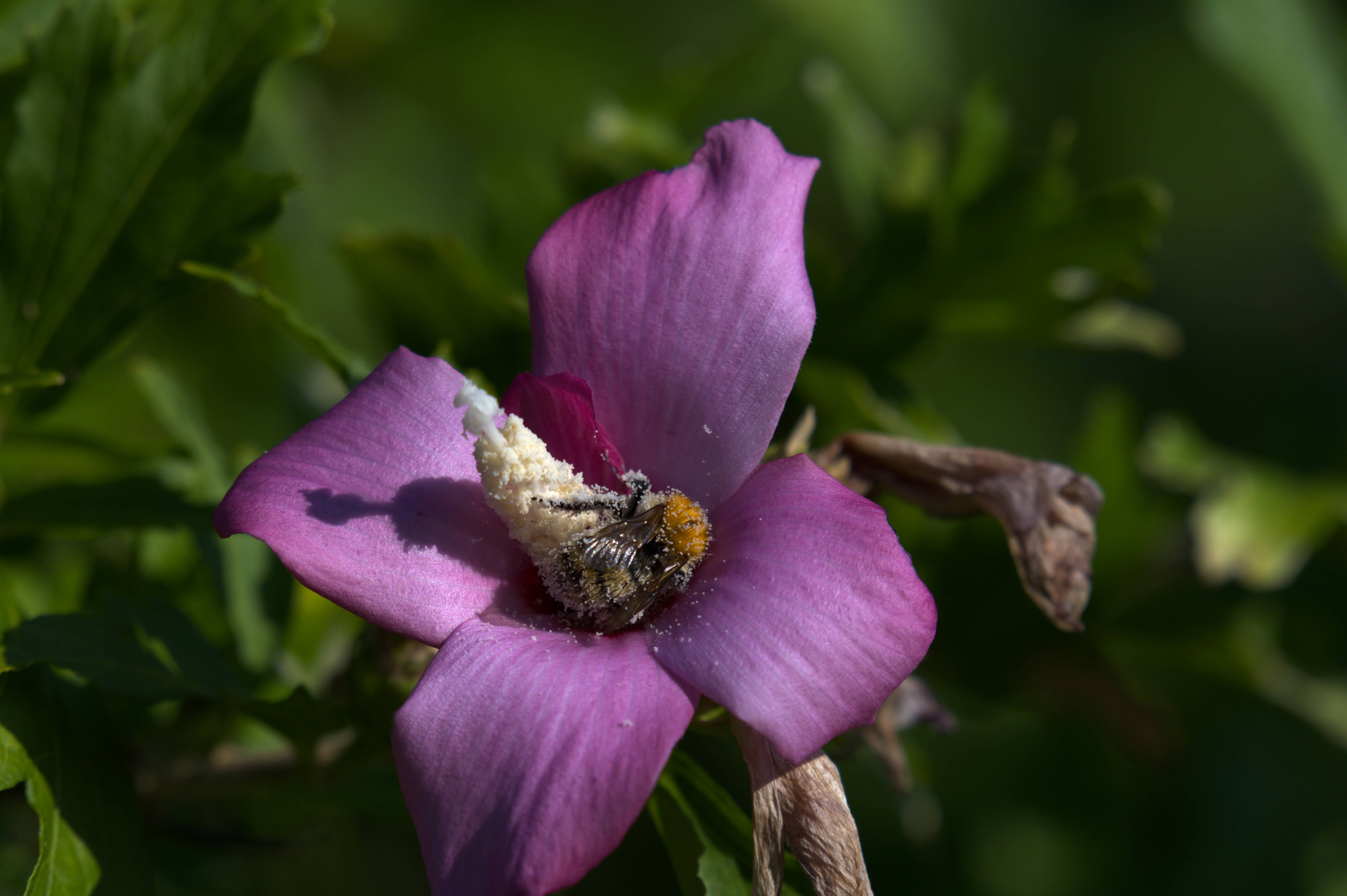 DSC_5949.jpg
