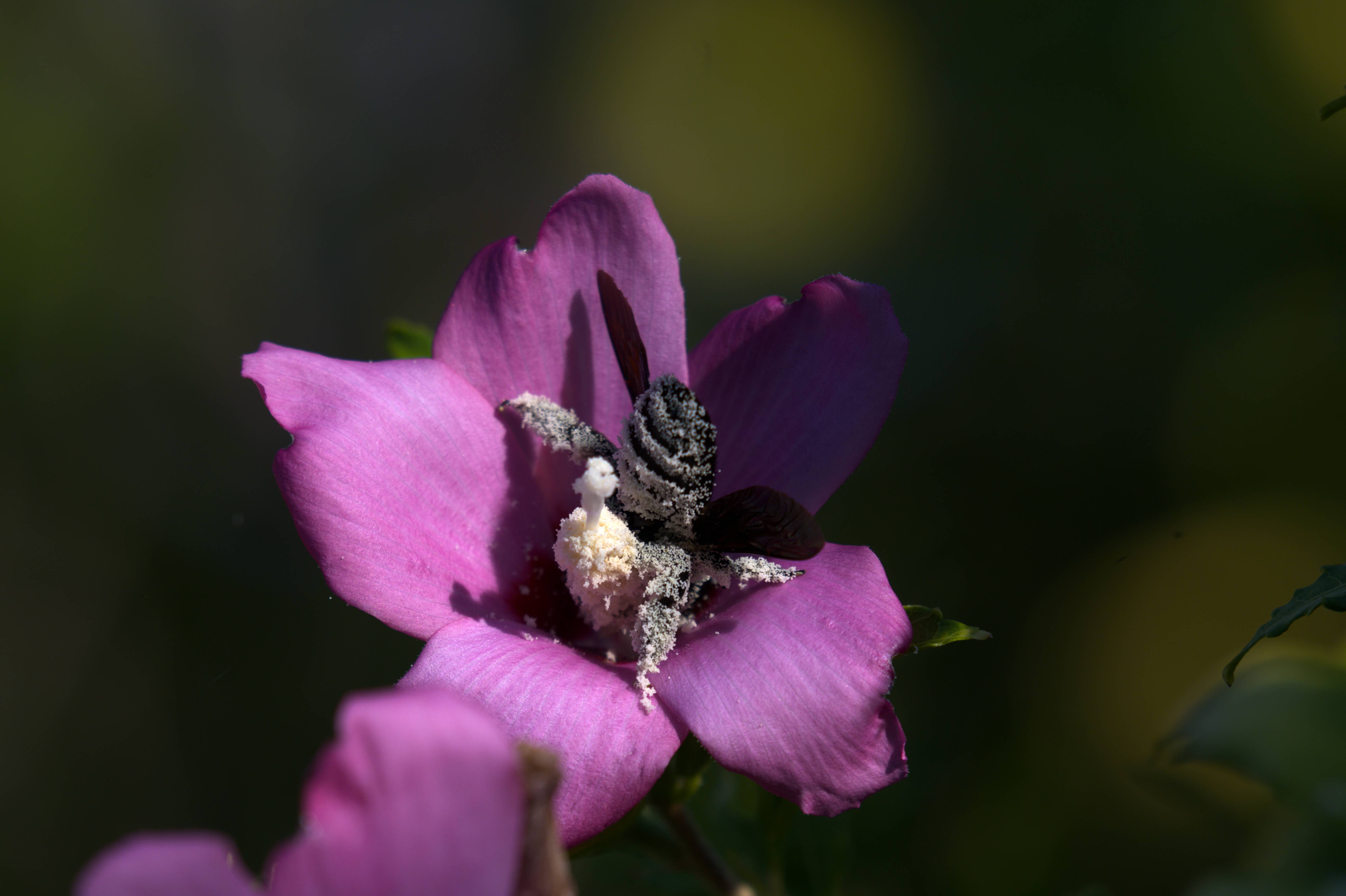 DSC_5951.jpg