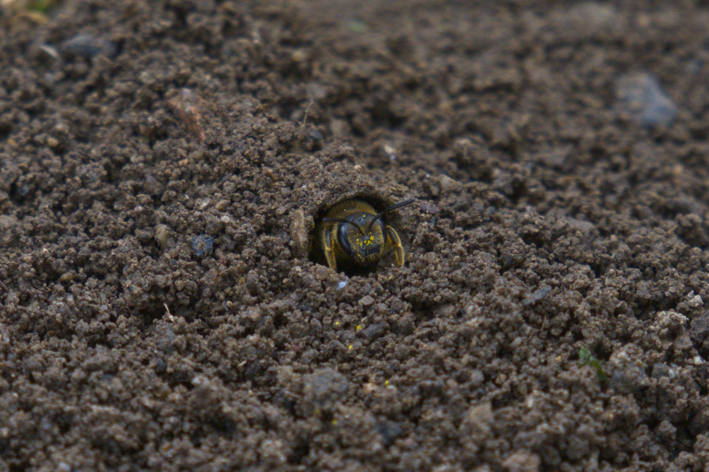DSC_6036.jpg
