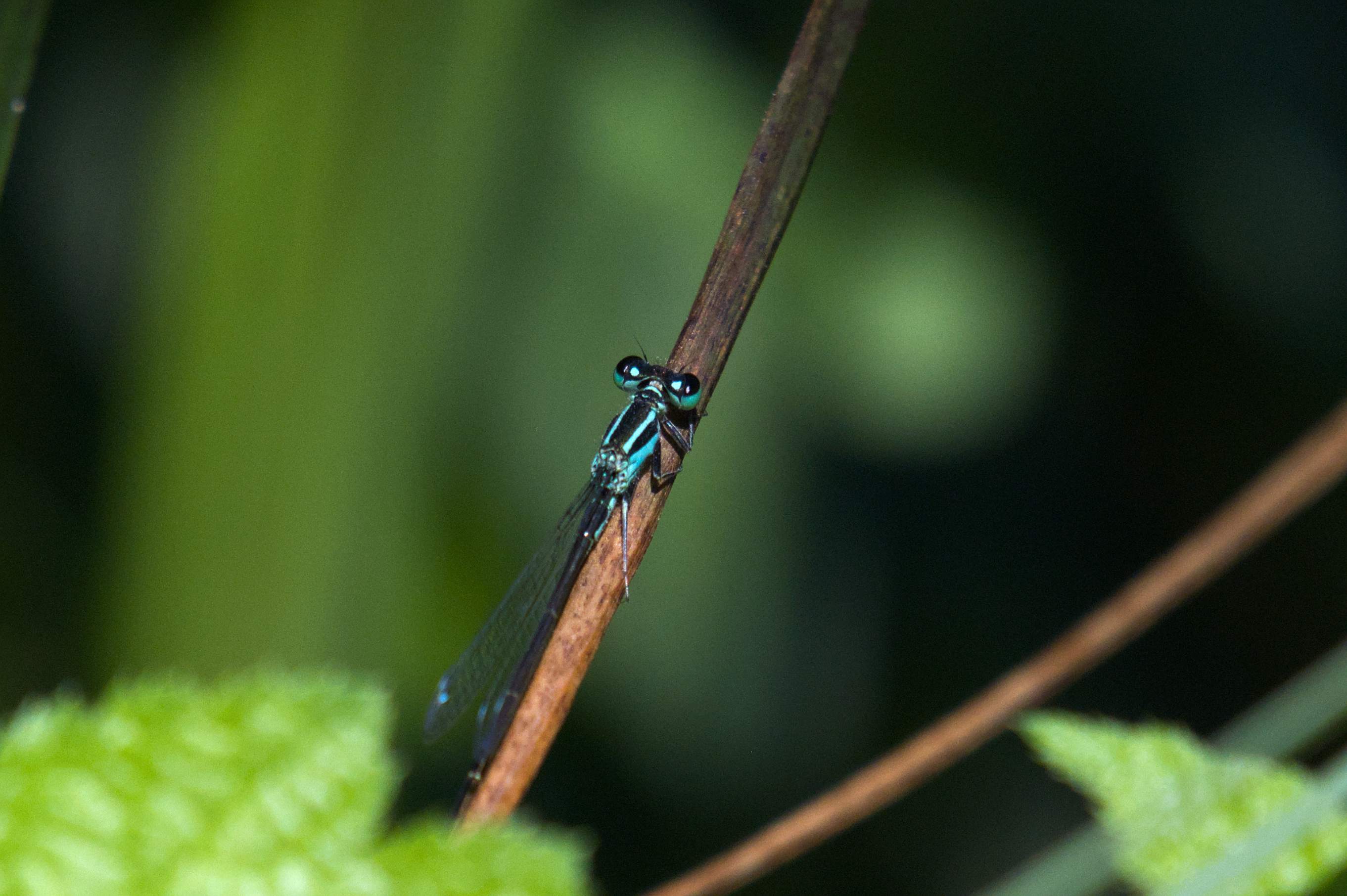 DSC_5898.jpg