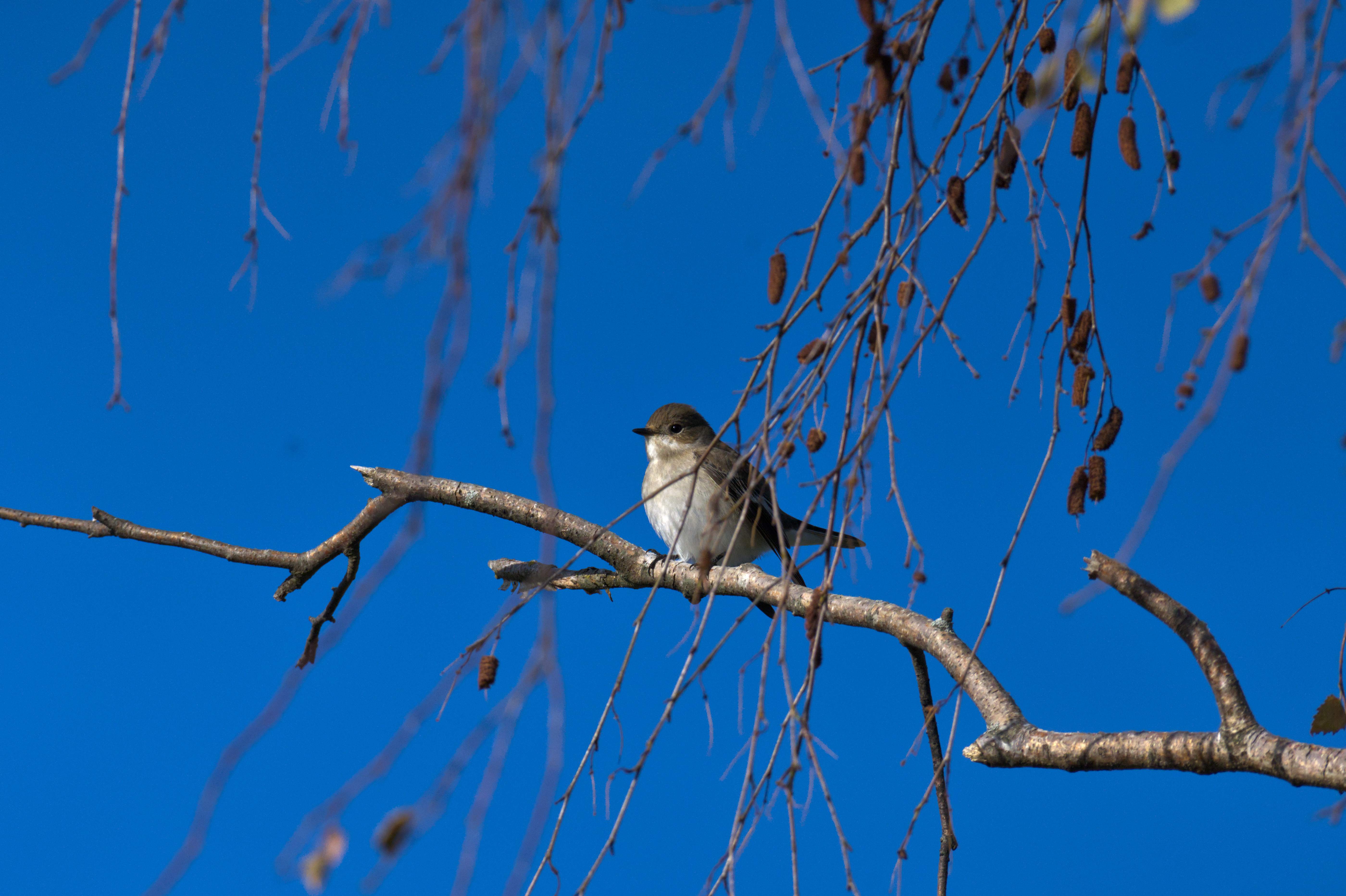 DSC_6876.jpg