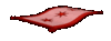 IMG_10.gif