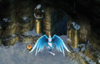 GuardianAngel.png