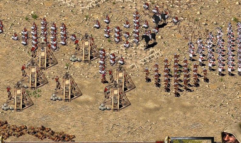 arm_e.JPG