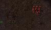 combattants_4.jpg